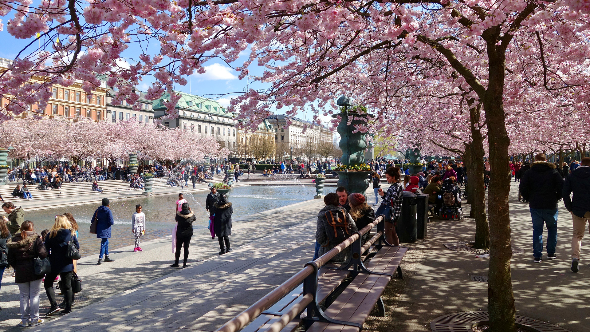 Ein beliebter Treffpunkt in Stockholm: der Kungsträdgården